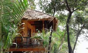 room-deluxe-bungalow-withseaview2