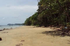 junglehill-location-04