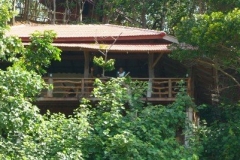junglehill-location-05