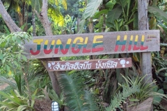 junglehill-location-06