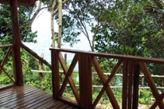 junglehill-location-07