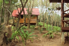 junglehill-location-08